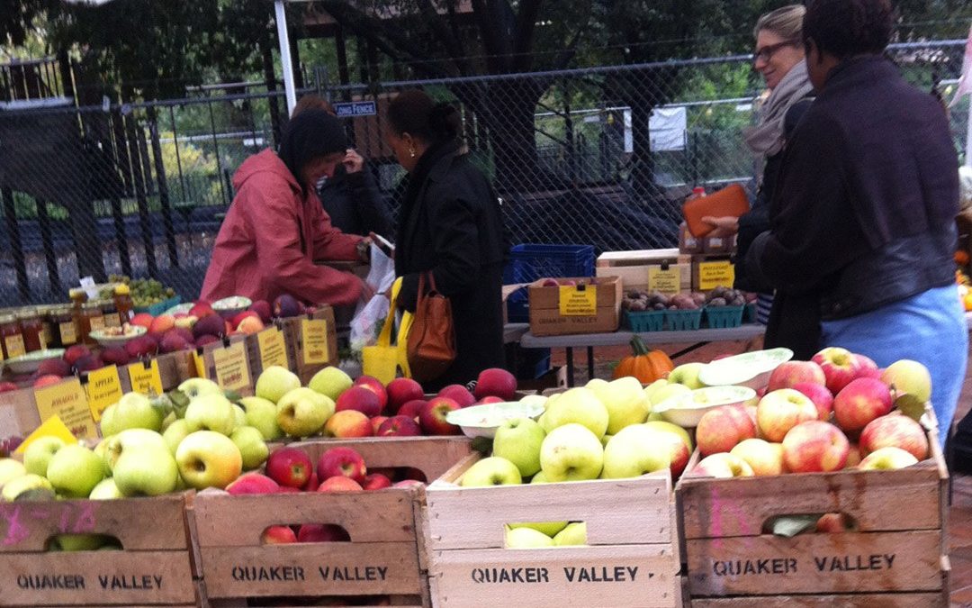 Rose Park Farmers Market – Opening Day 2017