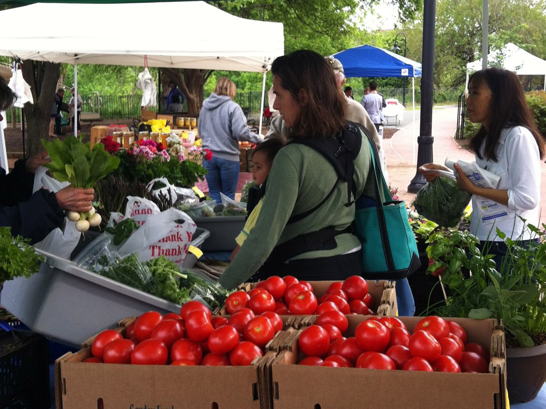 Rose Park Farmers Market - woman browsing produce behind several crates of tomatoes
