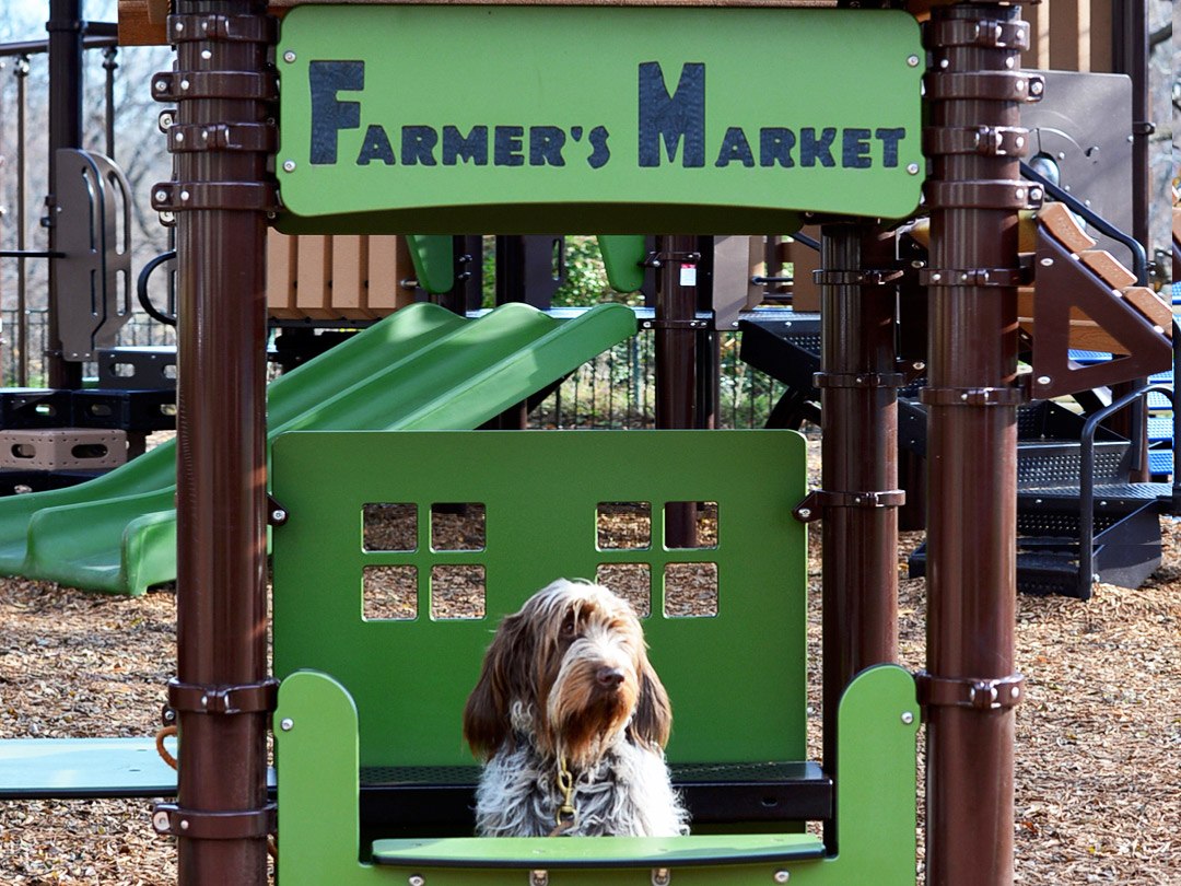 A dog sits inside of the Rose Park play ground under a sign that reads Farmers Market