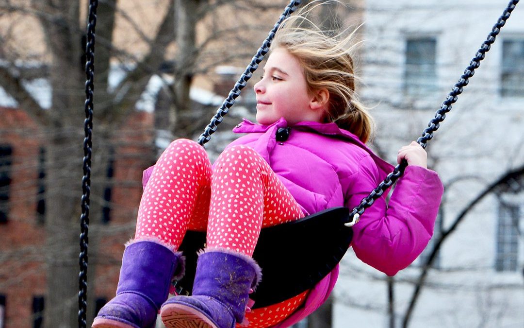 Rose Park Swings