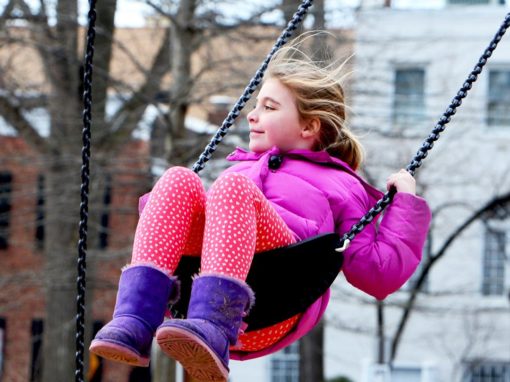 Rose Park Swings