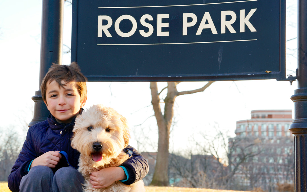 Rose Park Dog Stories - Photo of Olive the dog and her owner - Photo 2 of 2
