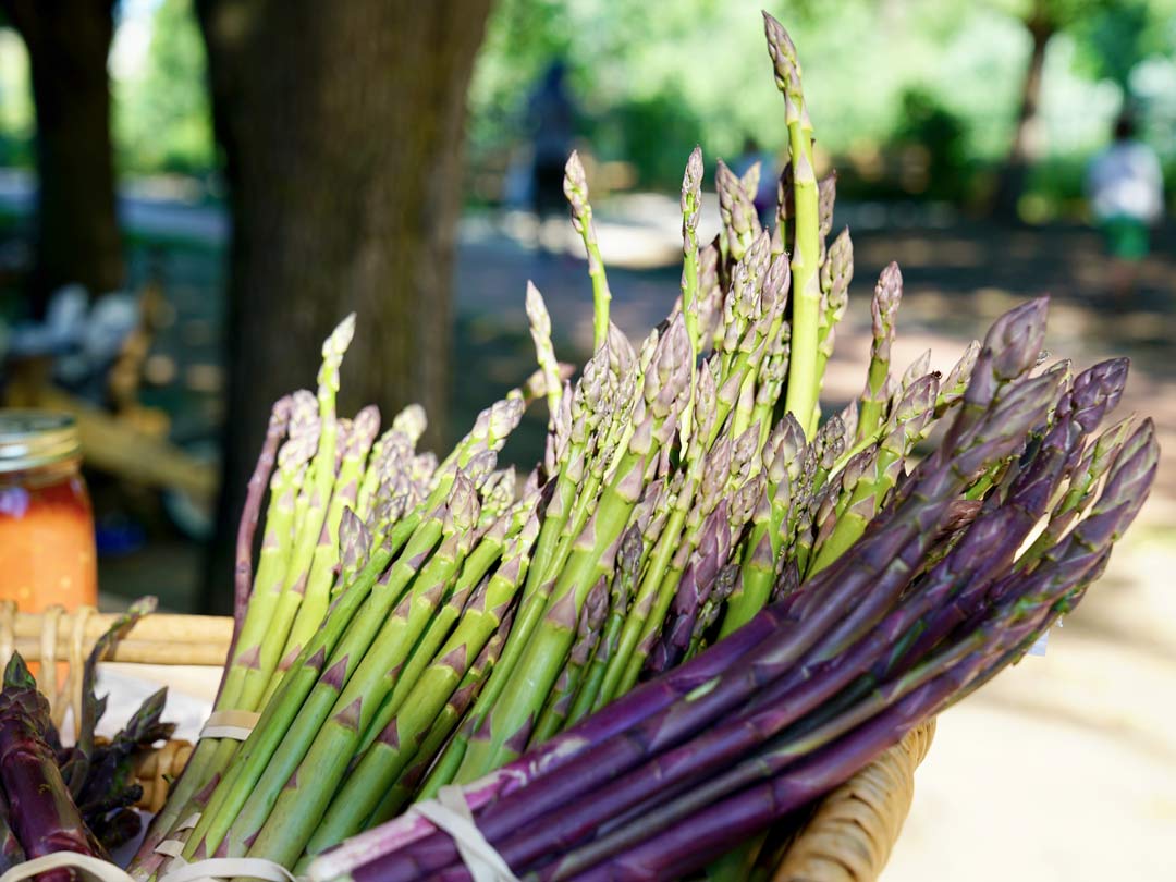 Rose Park farmers market - green and purple asapargus