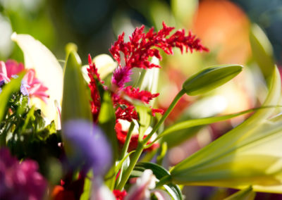 Friends of Rose Park - Farmers Martket 2018 - floral bouquet with red and purple flowers