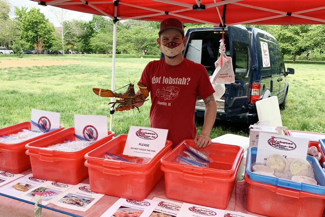 Friends of Rose Park Farmers Market - open summer 2020 - vendor Lobsters Maine-ia show here with vendor under their tent wearing a mask and holding a lobster