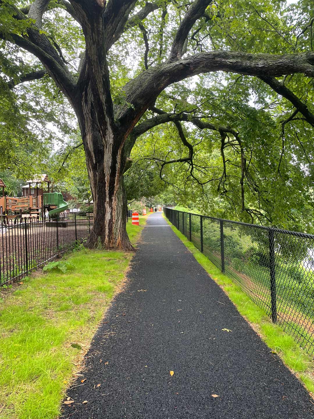 Rose Park path