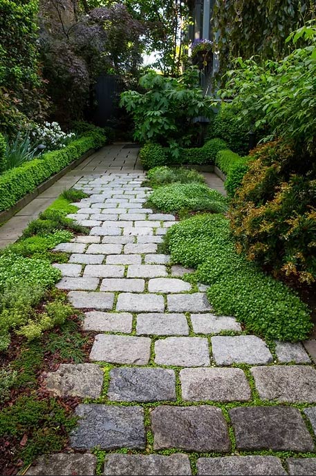 Georgetown Garden Club - Friends of Rose Park Community Partner - image of a cobble stone walk way with greenery on both sides of it